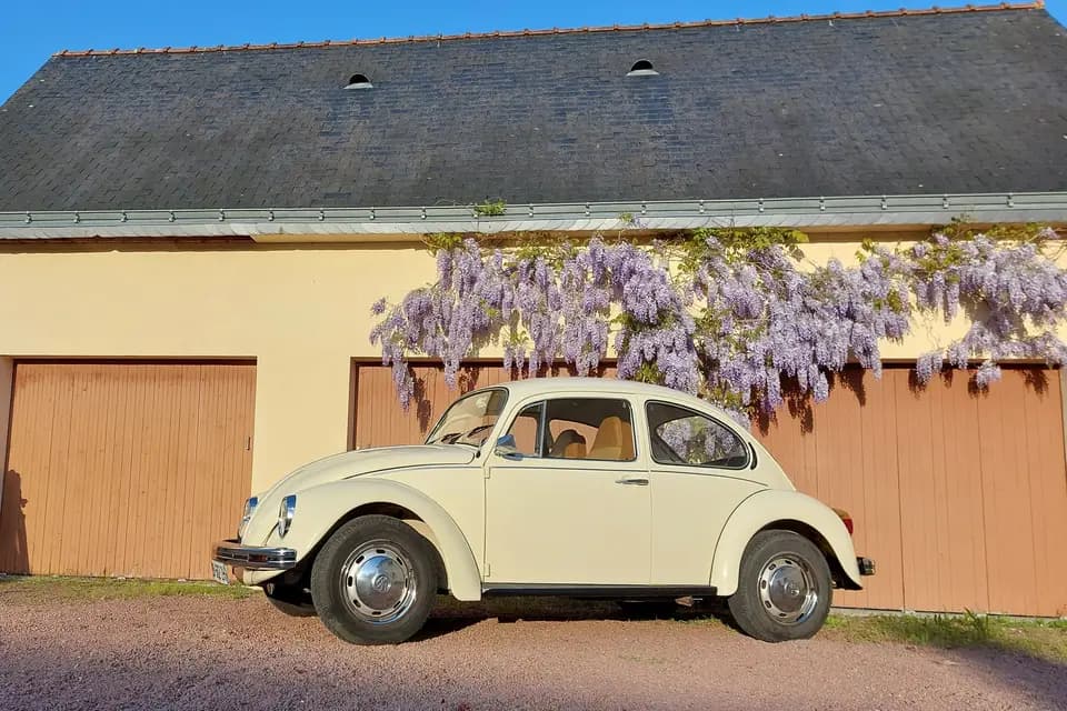 Mariage en Coccinelle — photo 3
