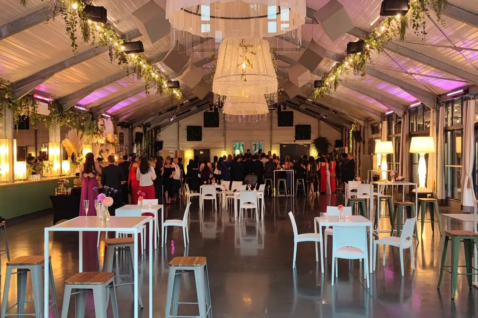 DJ Ironny — photo 3