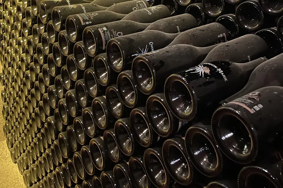 Caviste Nomade — photo 5