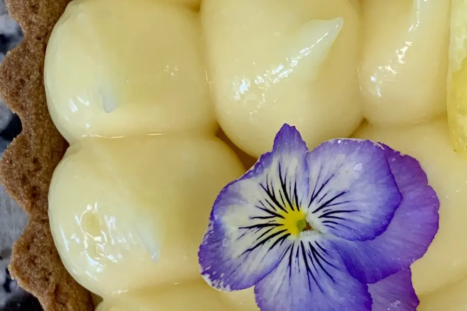 Les Infuseuses — photo 8