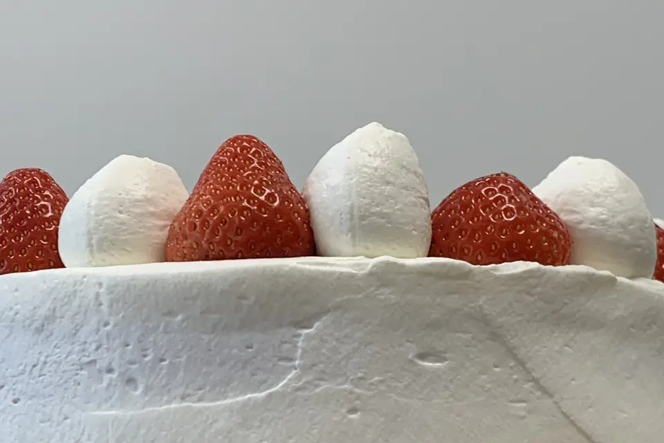 Les Infuseuses — photo 5