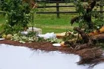 Château de Villemesle — photo 5