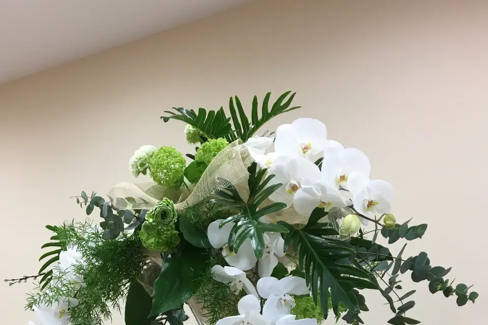 L’Orchidée Création — photo 2