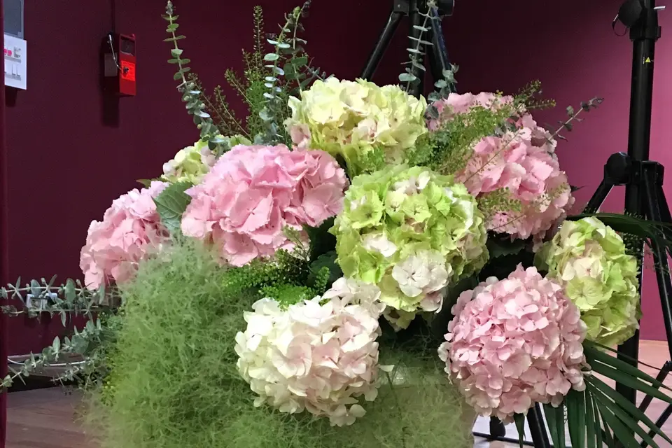 L’Orchidée Création — photo 5