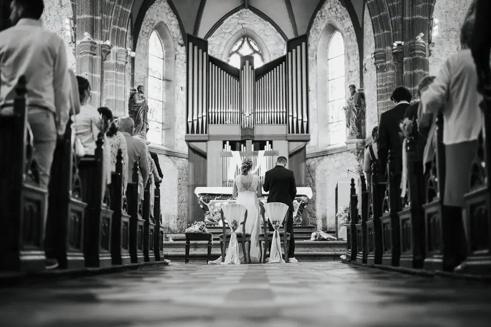 Kiwi Studio — photo 6