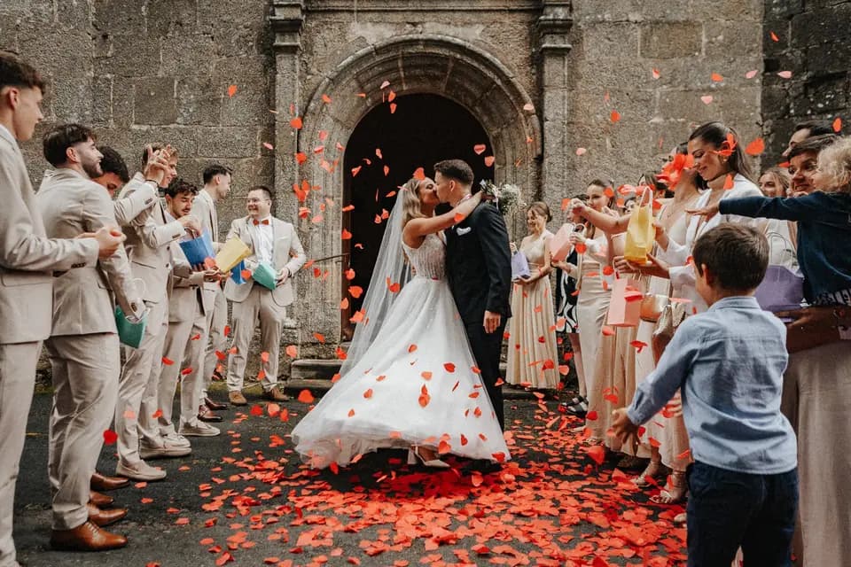 Kiwi Studio — photo 5