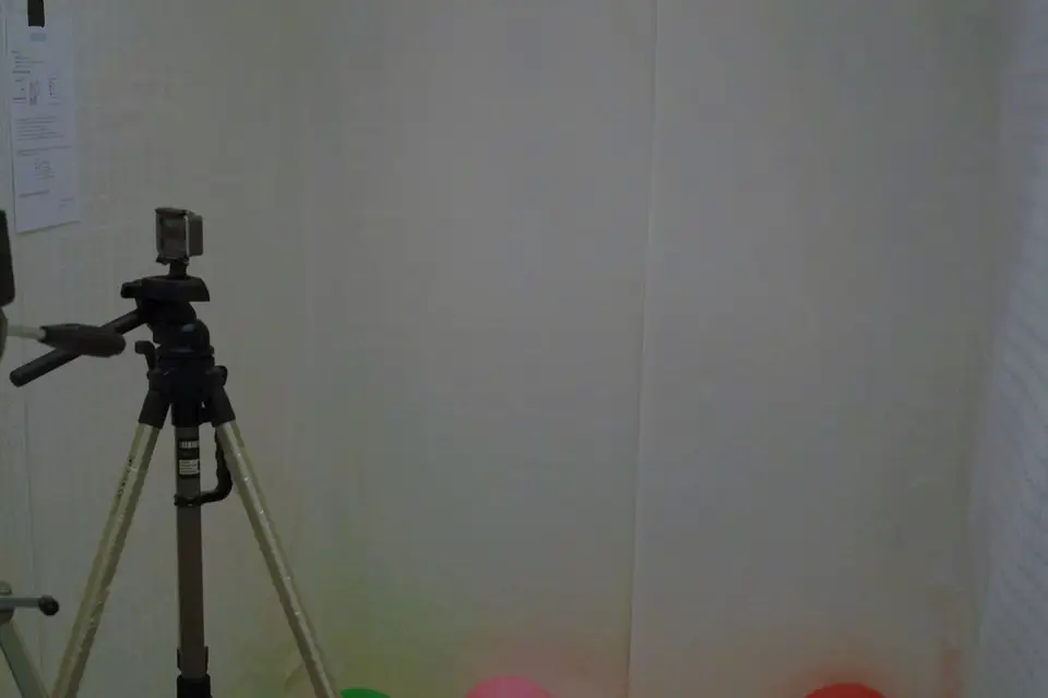 SonPour100 Animation — photo 3