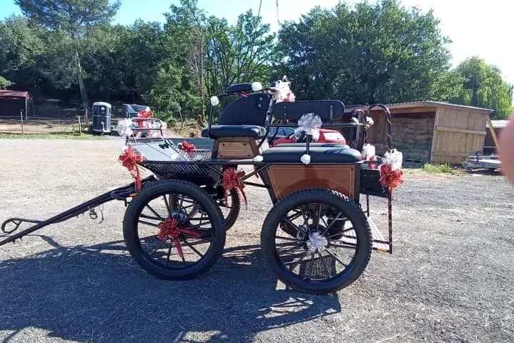 BM Équitation — photo 2