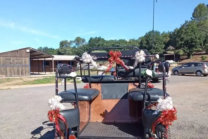 BM Équitation — photo 3