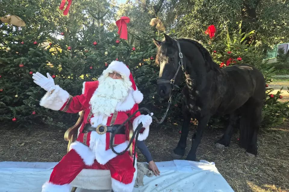 BM Équitation — photo 5