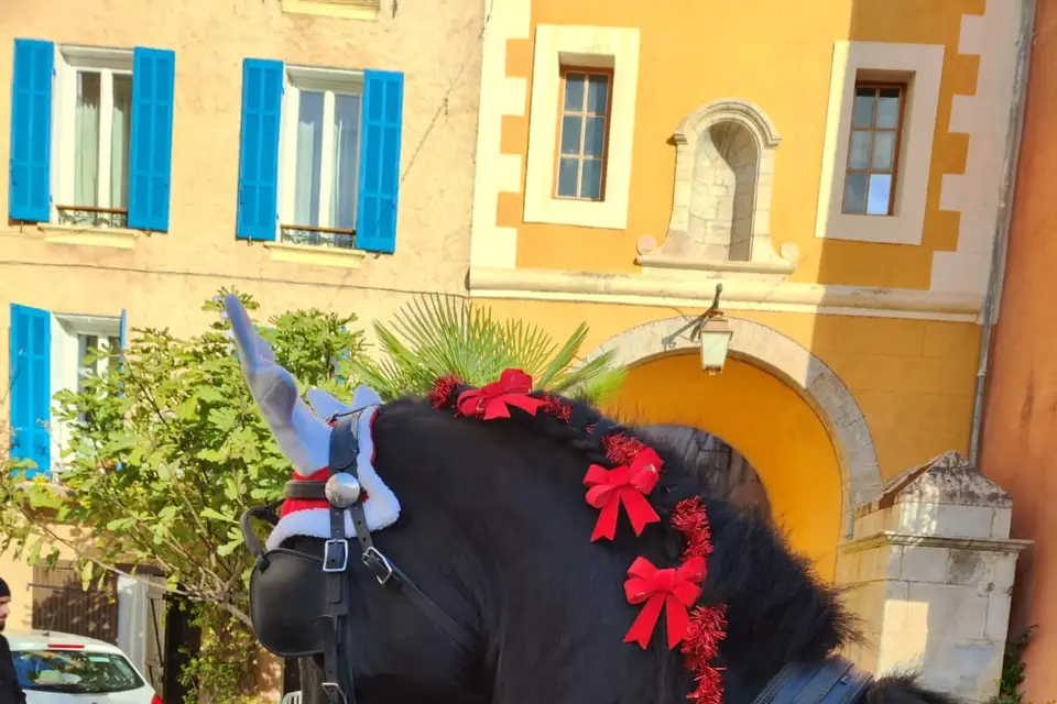 BM Équitation — photo 7