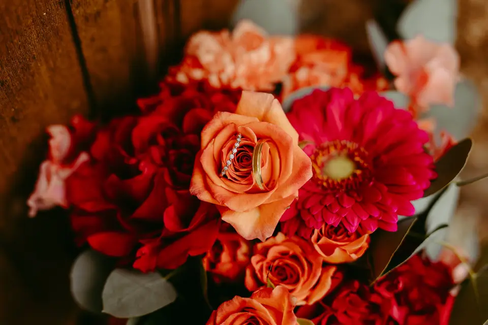 Noélie Bouquet Photographe — photo 3