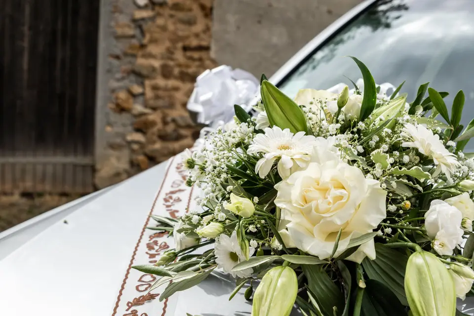 Nicolas Chedeville Photographie — photo 8