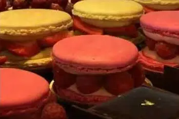 Pâtisserie Lionel Raux — photo 3