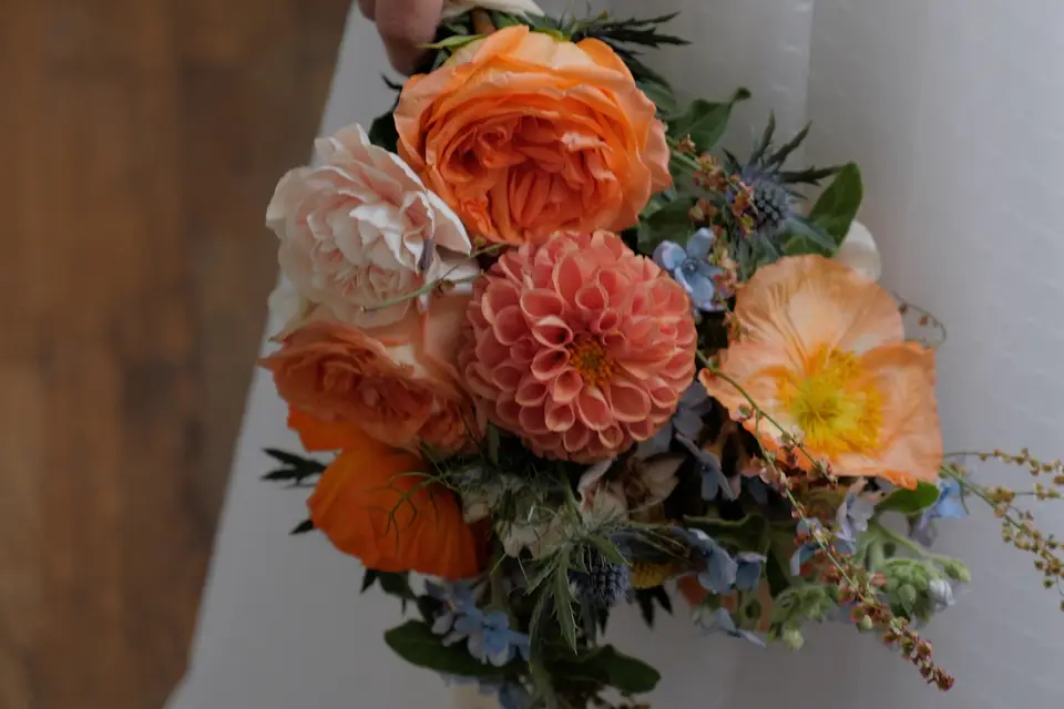 Les P'tits Pixels de Caro — photo 3