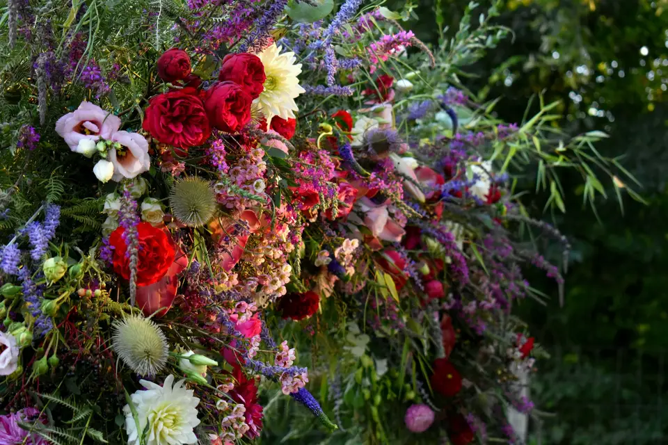 Floral Destiny — photo 7