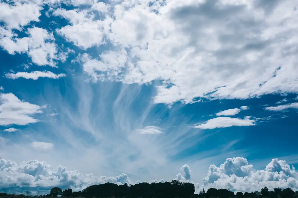 Jordan Dupuy Photography — photo 7