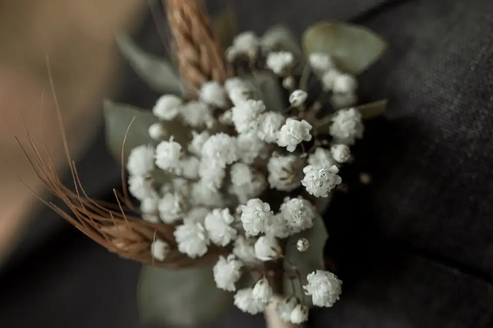 Moteur et Action — photo 8