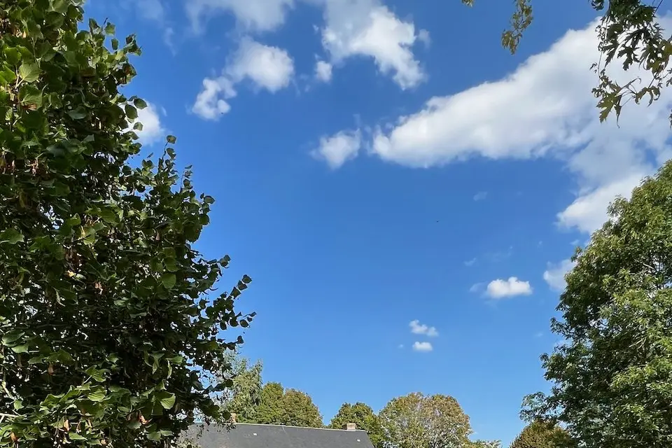 Manoir de Corny — photo 8