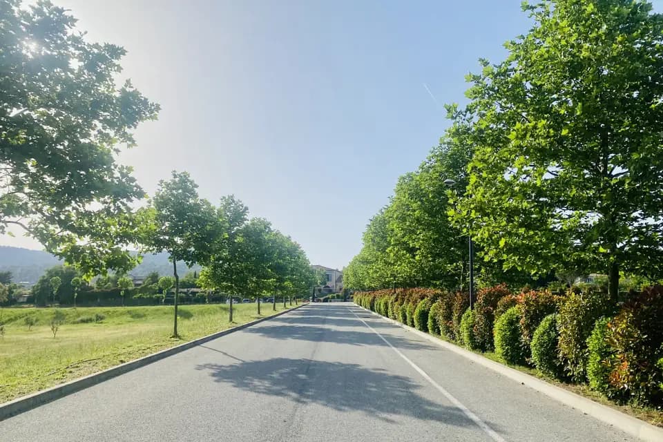 Le Jas du Pébrier — photo 3