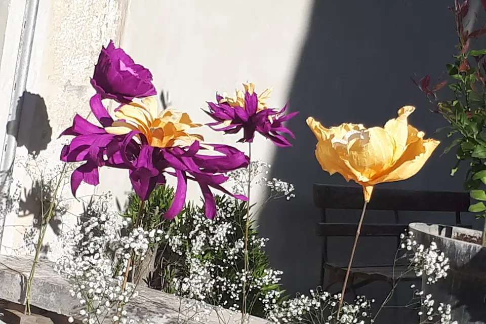 Equilibre Déco — photo 5