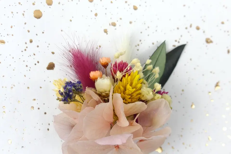 L'Atelier de Gaya — photo 7