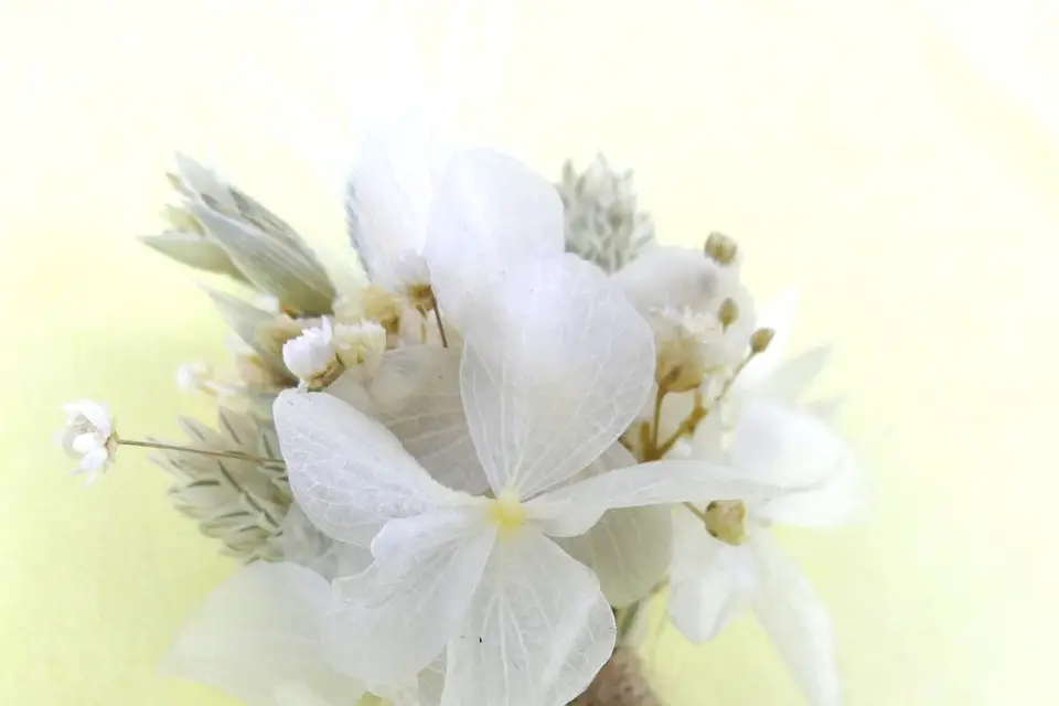 L'Atelier de Gaya — photo 6