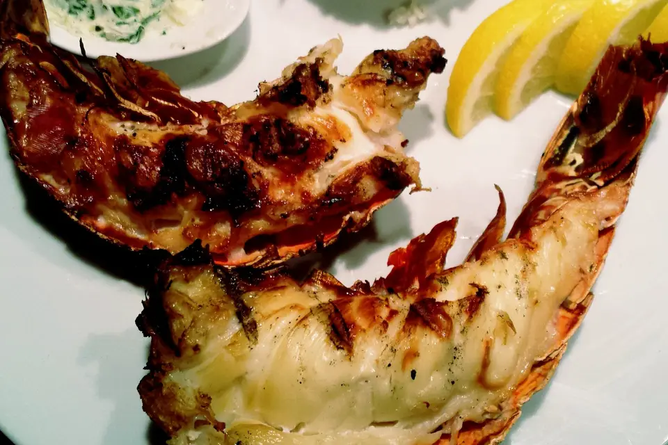 Cuisine & Vous — photo 8