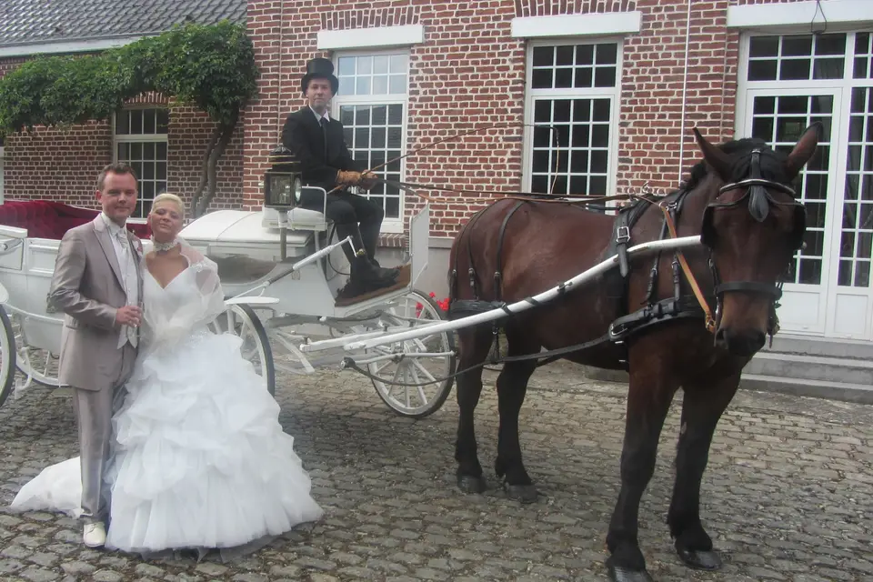 Les Attelages du Valenciennois — photo 2