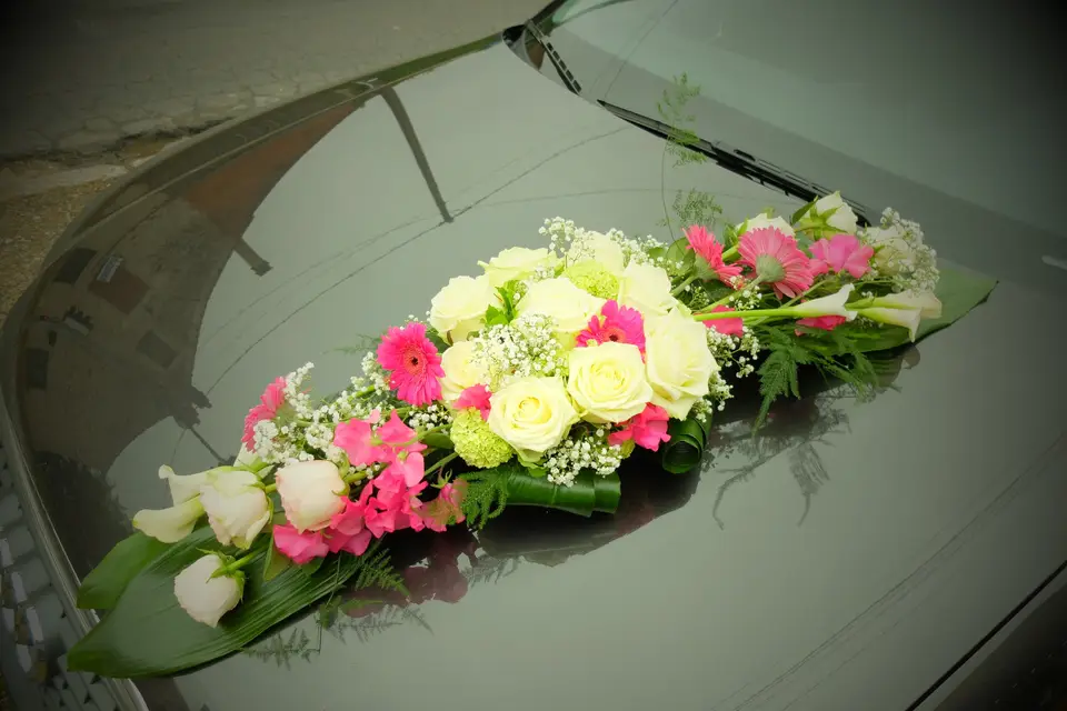 Le Jardin de Cécile — photo 6