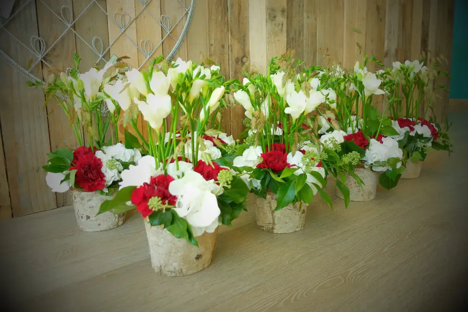 Le Jardin de Cécile — photo 8