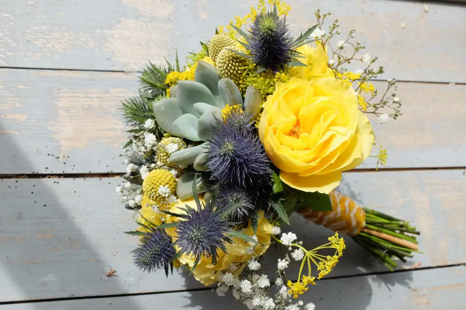 Le Jardin de Cécile — photo 2