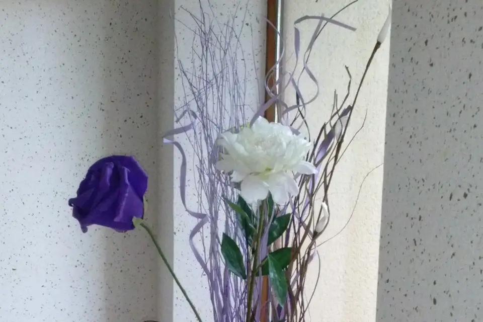 Harmonie's day — photo 5