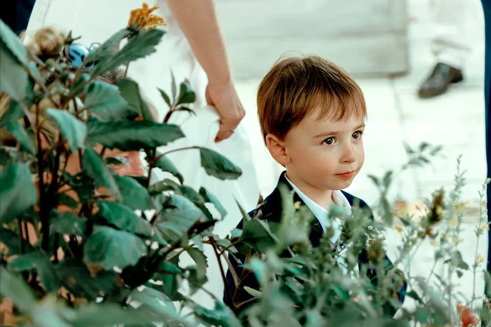 Wop Photo — photo 1