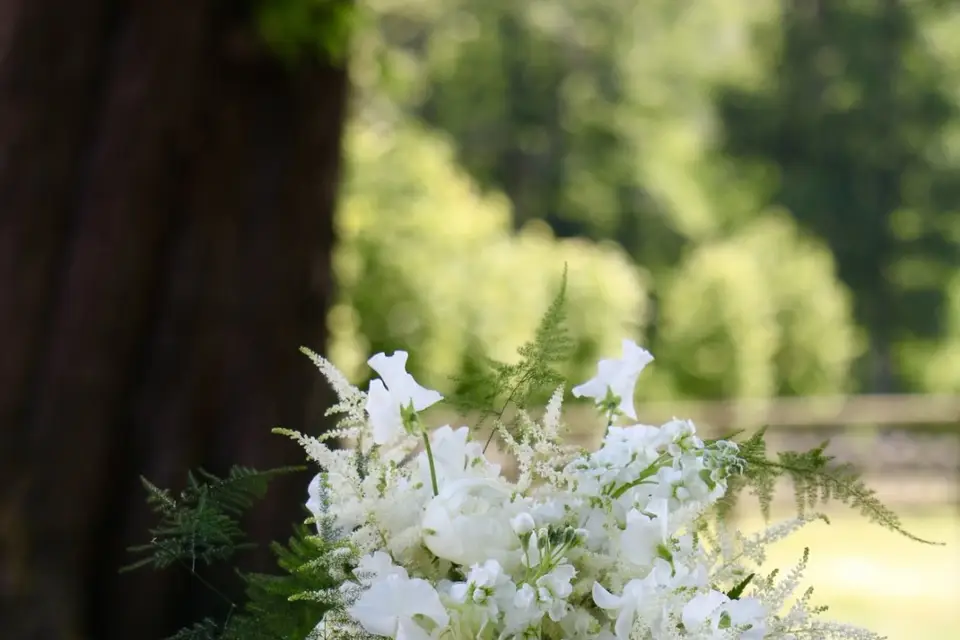 Atelier Myosotis — photo 7