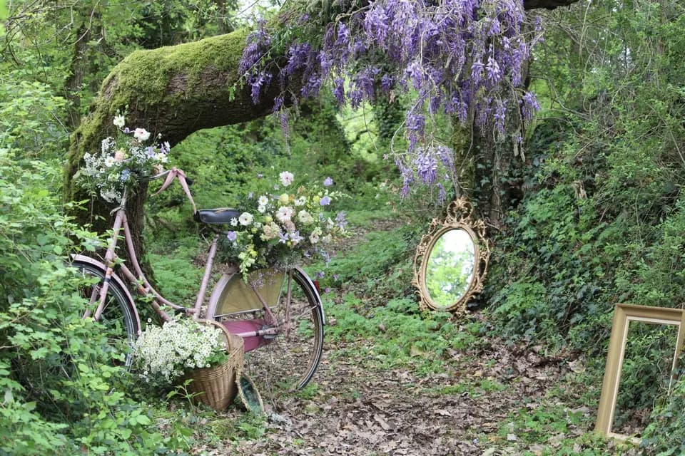 Atelier Myosotis — photo 3