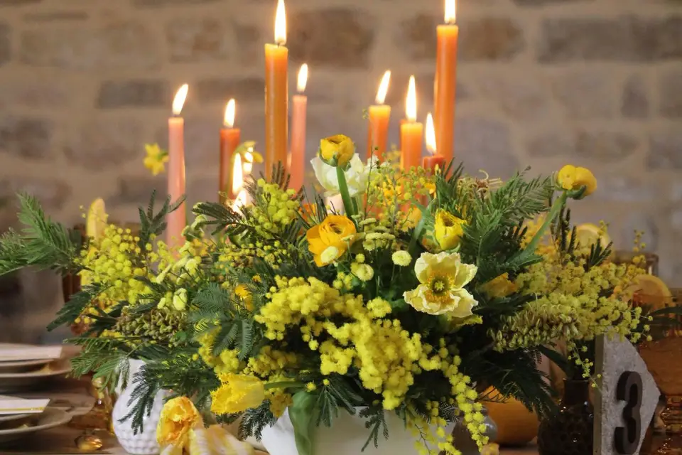 Atelier Myosotis — photo 2