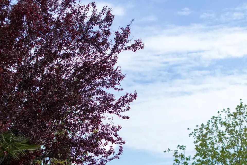 Driver Events — photo 2