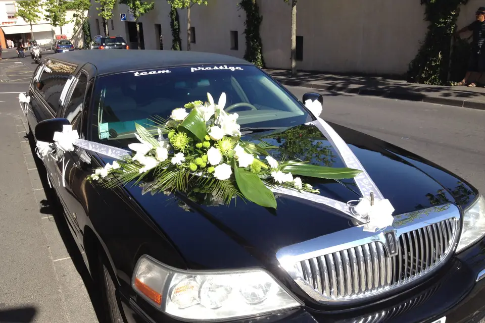 Teamprestige — photo 7