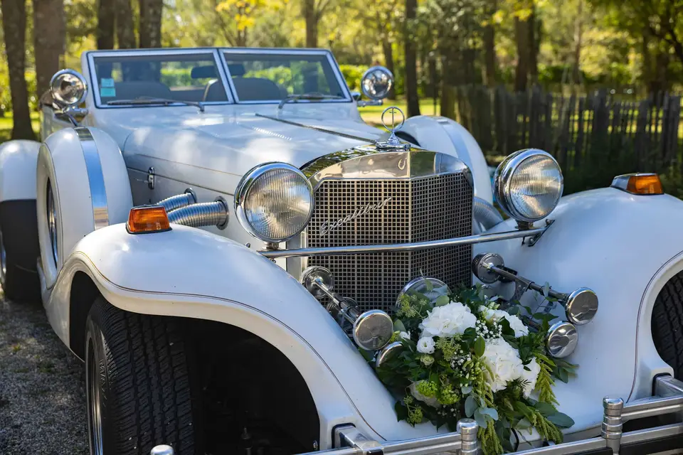 Prestige Car — photo 4