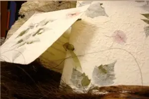 Le Papier — photo 1