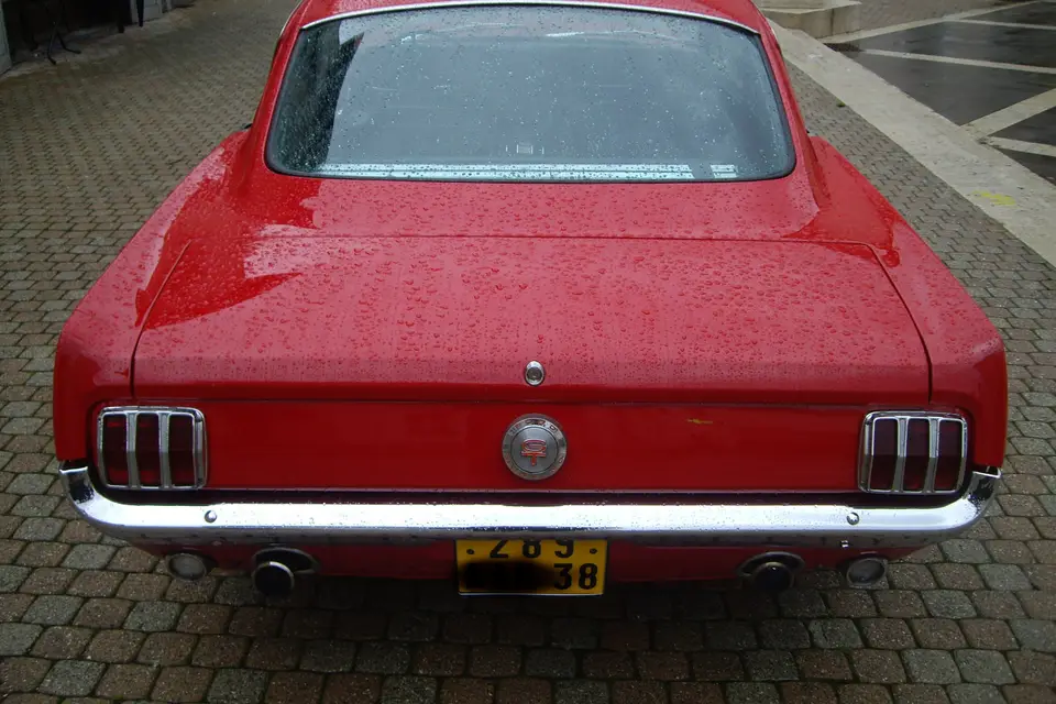 Mustang à louer — photo 8