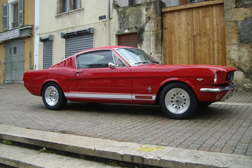 Mustang à louer — photo 2
