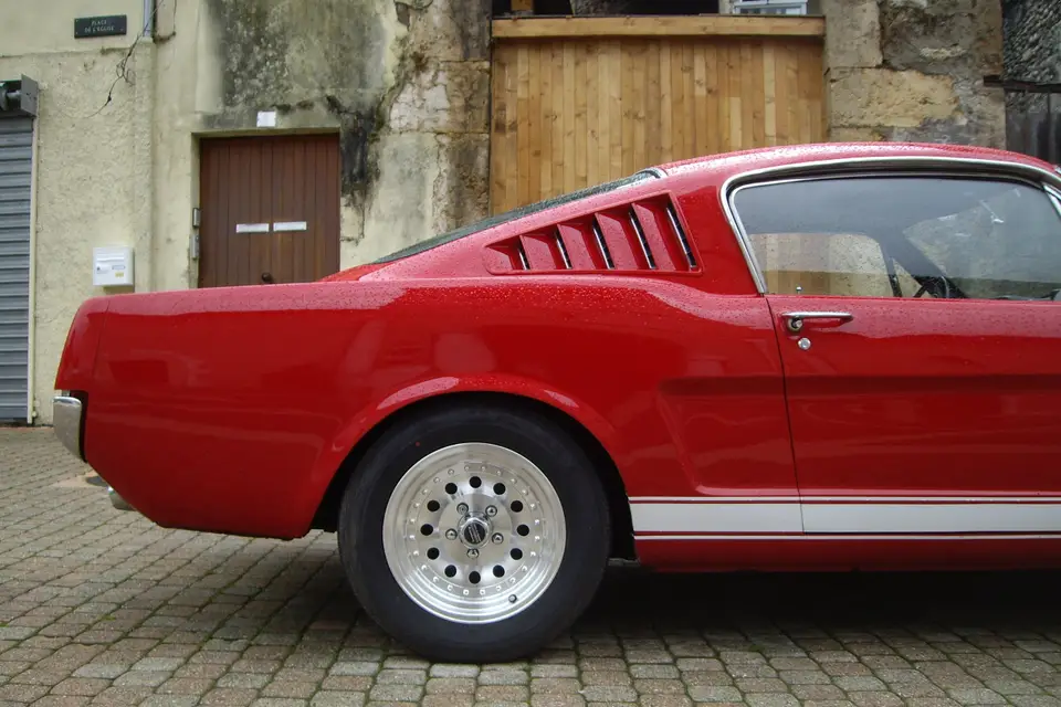 Mustang à louer — photo 5