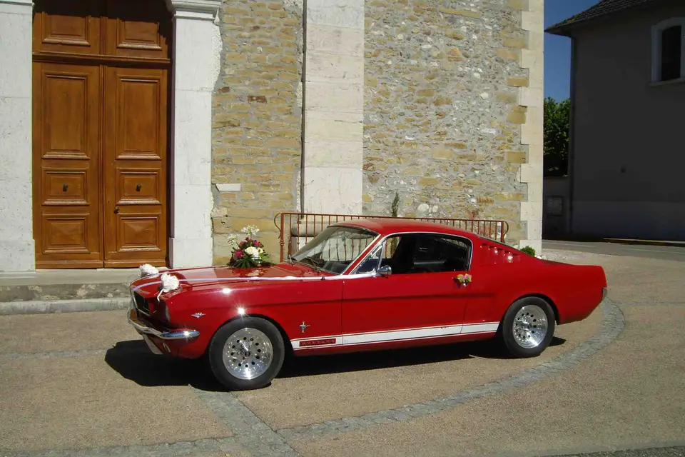 Mustang à louer — photo 4