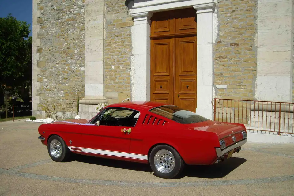 Mustang à louer — photo 6