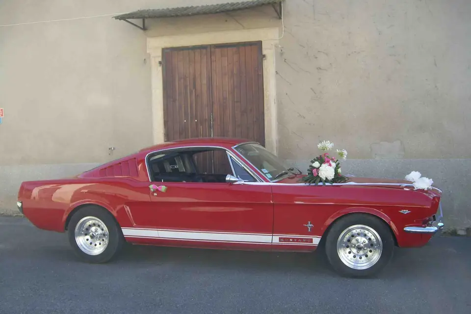 Mustang à louer — photo 7