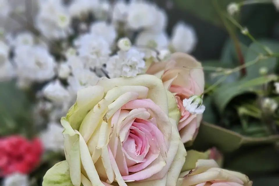 Chinon Vintage Tour — photo 5