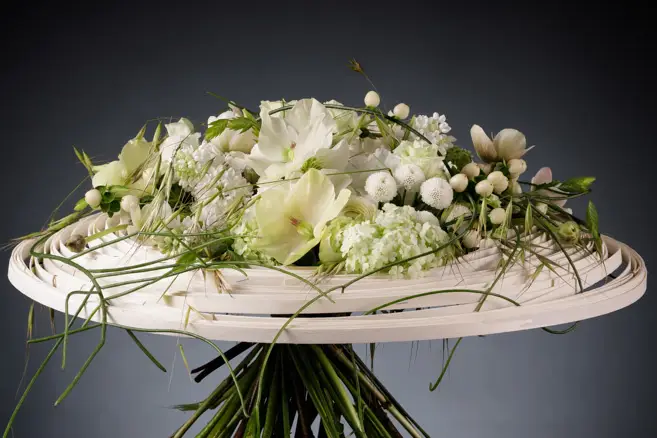 Sandra-flor — photo 1