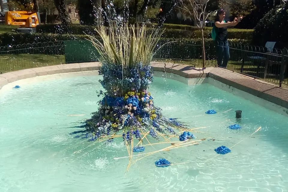 Sandra-flor — photo 3